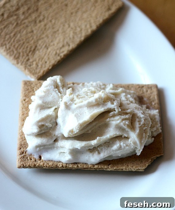 IMG_6062 An open-faced Pop Tart ice cream sandwich waiting for its other half.