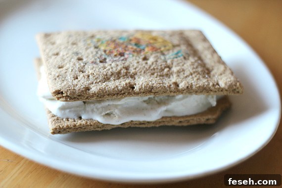 IMG_6063 A Gingerbread Pop Tart Ice Cream Sandwich on a plate.