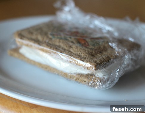 IMG_6065 An ice cream sandwich wrapped in plastic wrap.