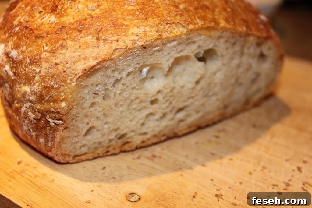 No-Knead Artisan Bread: Simple Crusty Loaf Recipe 2 A simple and delicious no knead bread. Light and airy and great for sandwiches, snacks or dunking in soup. Easy Vegan Recipe.