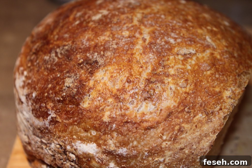 No-Knead Artisan Bread: Simple Crusty Loaf Recipe 3 img 752 2