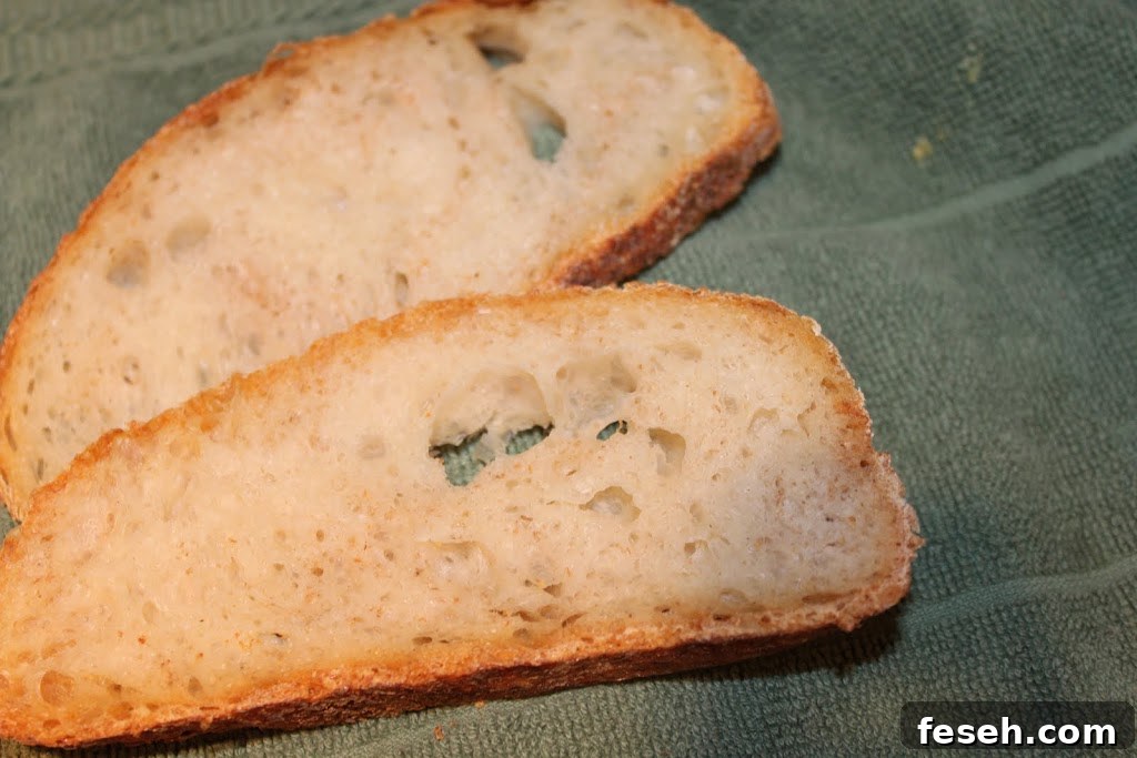 No-Knead Artisan Bread: Simple Crusty Loaf Recipe 4 img 752 3